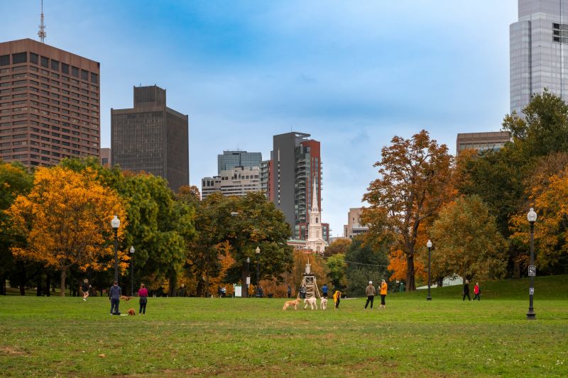 park in boston