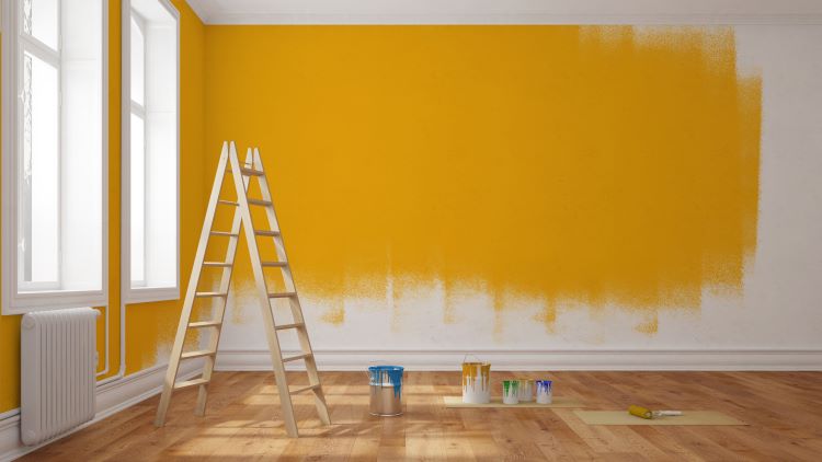 Paint Color boston apartment