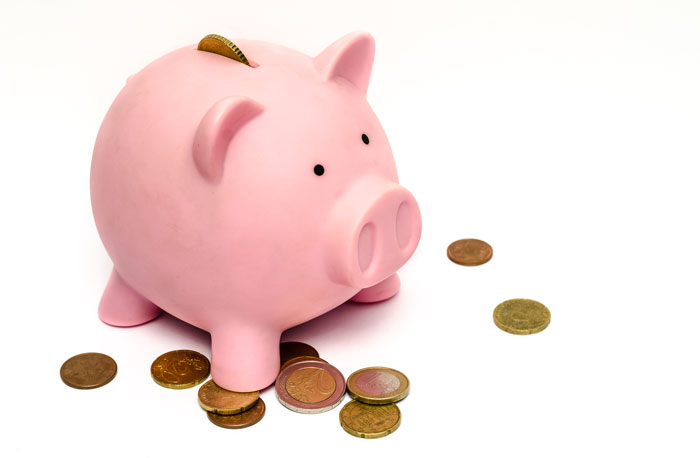 Pigg Bank With Coins