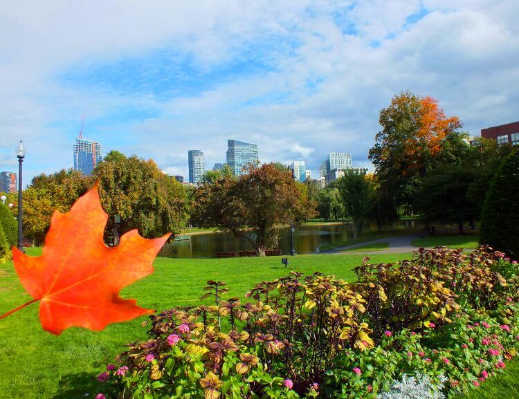 Boston Commons Picnic