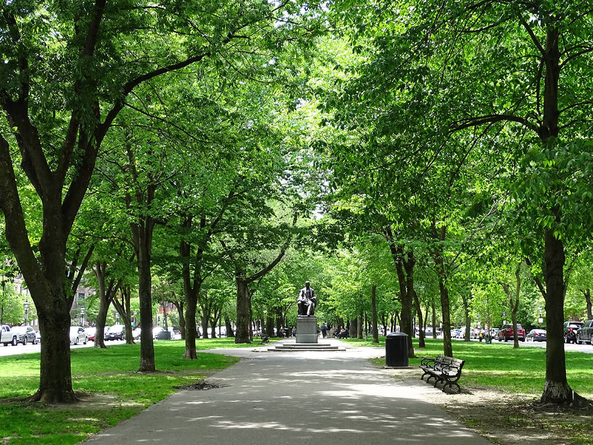 Commonwealth Avenue Mall