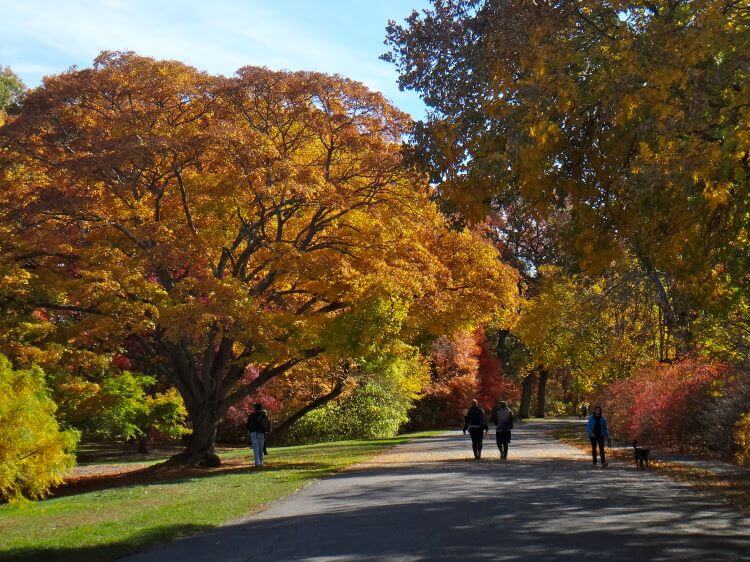 Jamaica Plain Renting Off Campus