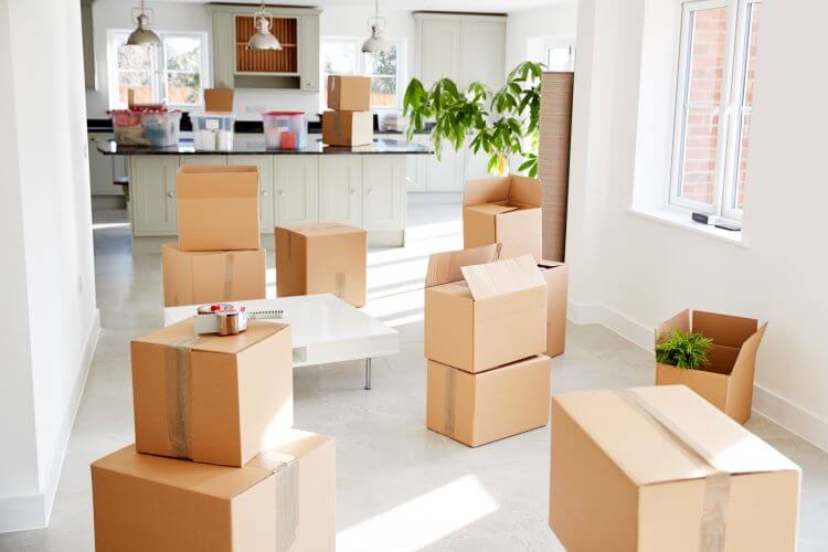 Move in- Move Out boxes