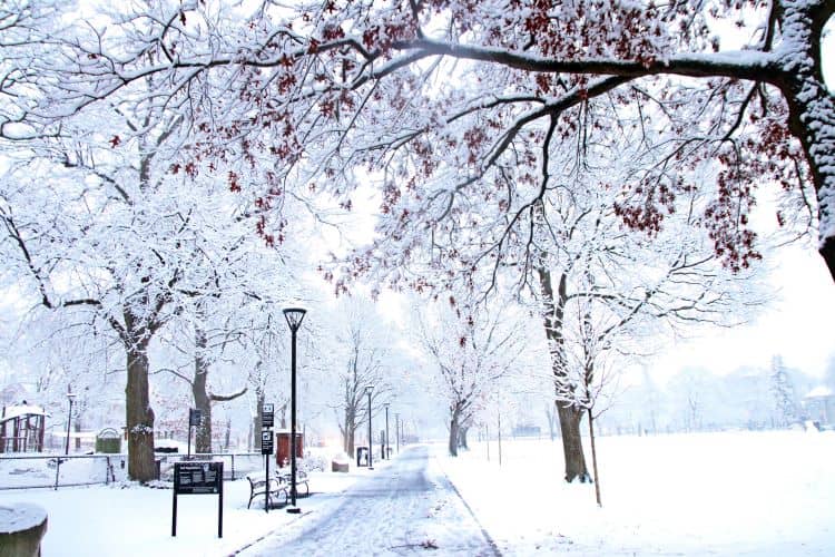 Cambridge Park Covered in Snow 