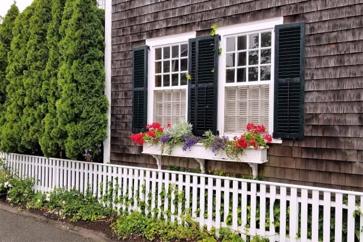 WIndow Boxes in Boston Home 