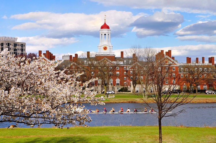 Cambridge MA Springtime