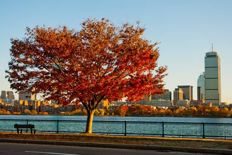 moving boston apartment in fall