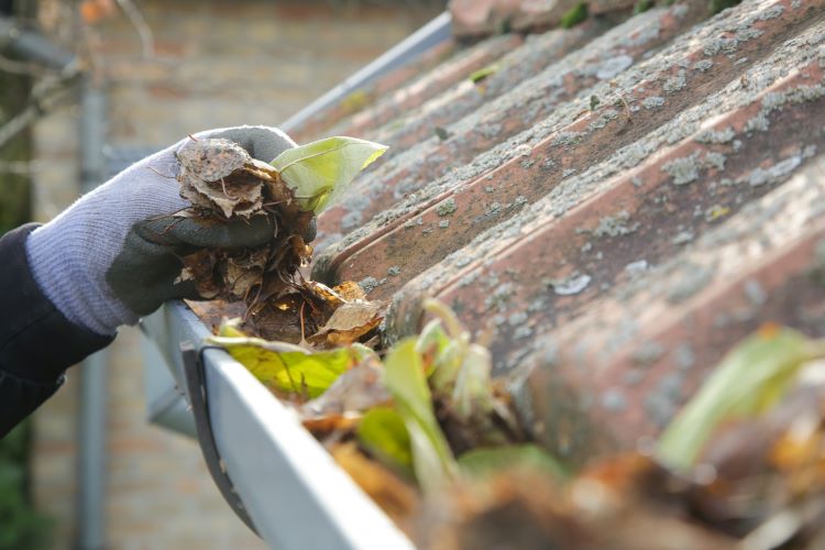 Cleaning Gutters