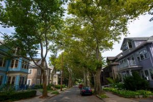 Maintenance Tips for Homeowners in Boston