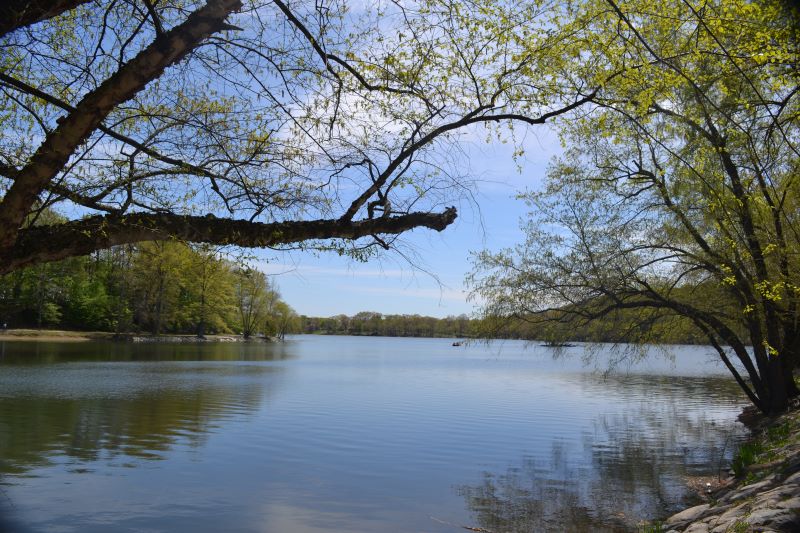 Jamaica plain pond boston MA 