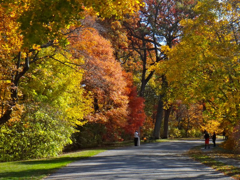 Jamaica Plain