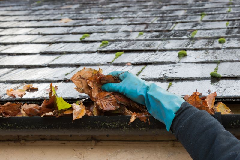 Cleaning Out Gutters