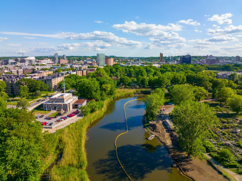 Boston Emerald Necklace