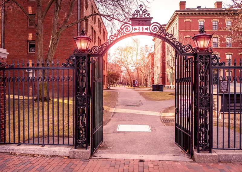 Harvard University