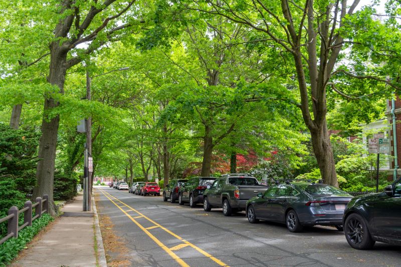 Boston Parking