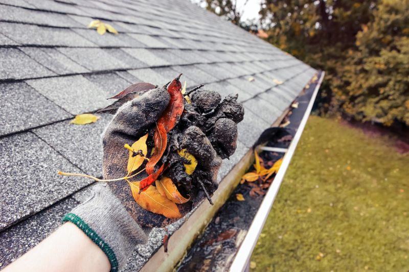 Cleaning Gutters