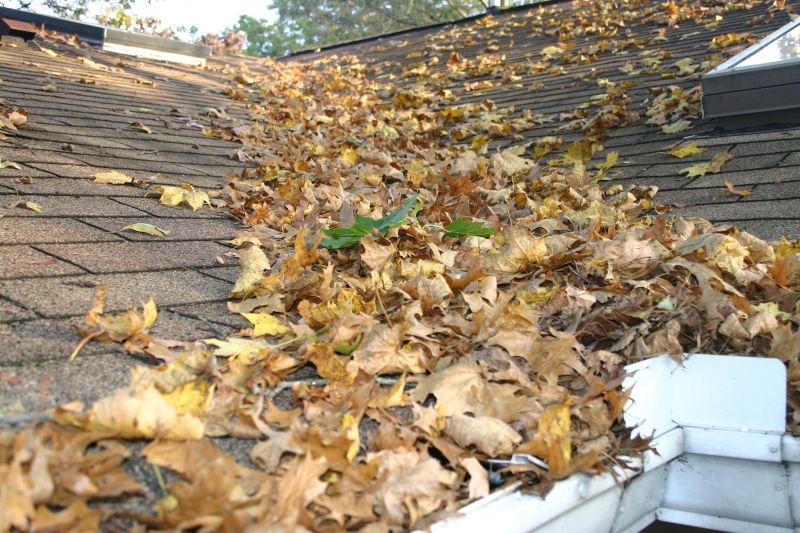 Boston Fall Clogged Gutters
