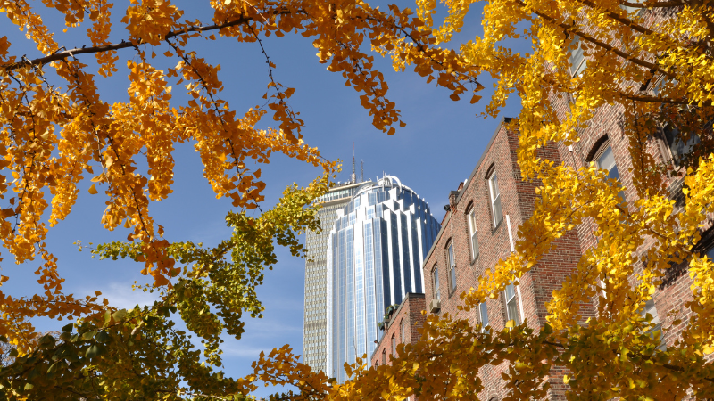 boston multifamily homes in the fall boston multifamily homes in the fall